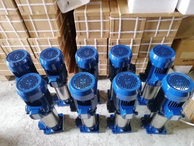 can-dien-tu-camry-sieu-mong-hoa-tiet-hoa-van-eb-9301-s109